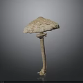 Brown Spotted Mushroom With Slender Stem And Root Like Base Structure