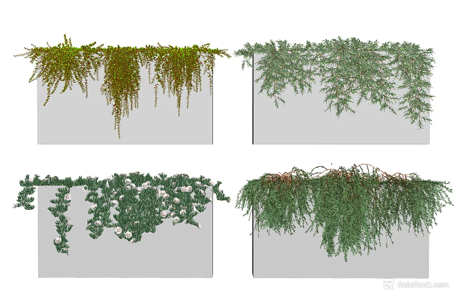 Various Types of Decorative Hanging Vines with Leafy Green Trailing Plants 3d model 
