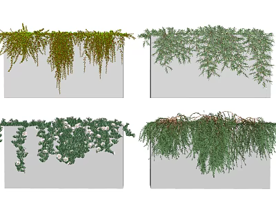 Various Types of Decorative Hanging Vines with Leafy Green Trailing Plants 3d model
