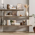 Modern Decorative Ornaments Set on Shelves with Vases Picture Frames Books and Plants