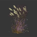 Various Types of Ornamental Grass Plants with Purple White and Yellow Leaves on White Backdrop