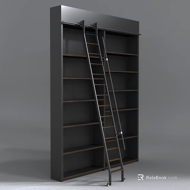 Modern Dark Frame Bookcase With Metal Ladder And Wooden Shelves 3d model 