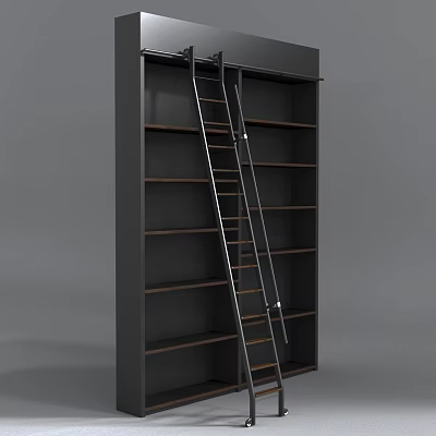 Modern Dark Frame Bookcase With Metal Ladder And Wooden Shelves 3d model