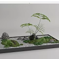 Miniature Garden Arrangement With Green Ferns Rocks Moss And White Pebbles