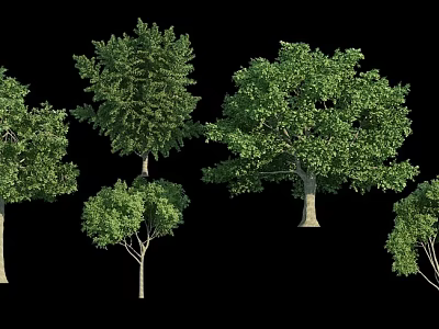 Different Tree Varieties With Lush Green Foliage And Various Canopy Shapes 3d model