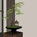 Bonsai Plant With Green Ferns Black Pot Small Pavilion And Green Moss On Wooden Table