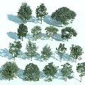 Diverse Arbor Tree Varieties With Different Shapes And Natural Shadows Collection 3d model