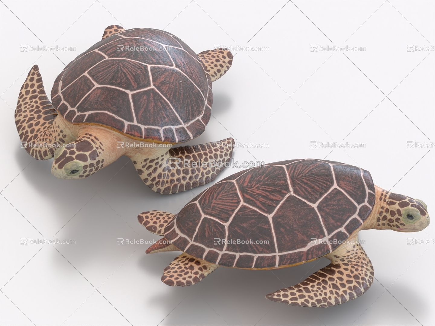 Turtle turtle turtle soft-shelled turtle crocodile turtle tortoise 3d model