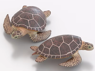 Two Sea Turtles With Detailed Brown Shells And Spotted Flippers In Natural Pose 3d model