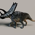 Prehistoric Reptile Triceratops Walking With Frilled Head Horned Features And Striped Skin