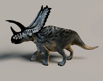 Prehistoric Reptile Triceratops Walking With Frilled Head Horned Features And Striped Skin 3d model