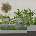 Layered Mixed Plant Arrangement In Concrete Planters With Flowering Shrubs Ferns And Green Foliage