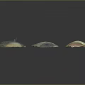 Various Colorful Seashells With Different Shapes Displayed On Dark Background