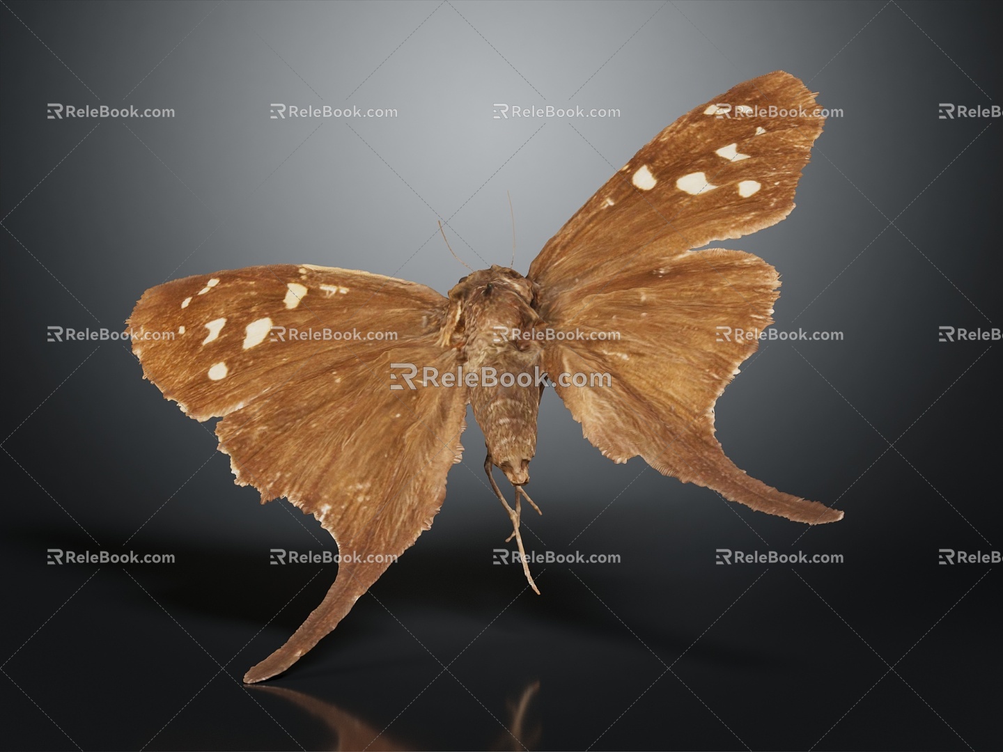 Modern Butterfly Moth 3d model