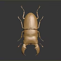 Detailed Golden Metallic Beetle Sculpture With Large Pincers On Dark Surface