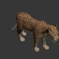 Detailed Realistic 3D Leopard Model With Spotted Fur And Lifelike Stance