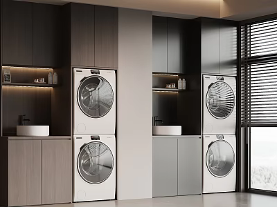 Modern Balcony Cabinet with Stacked Washing Machine Dryer Sink and Storage 3d model
