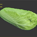 Fresh Green Cabbage With Shiny Surface And Crisp Leaves On Black Background
