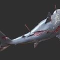 Realistic Damaged Shark 3D Model With Exposed Skeleton And Bloodstains 3d model