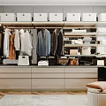 Modern Walk In Closet Interior Design With Hanging Clothes Storage Boxes And Shelves