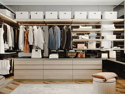 Modern Walk In Closet Interior Design With Hanging Clothes Storage Boxes And Shelves 3d model