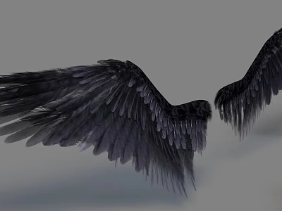 wing feathers 3d model wing feathers 3d model