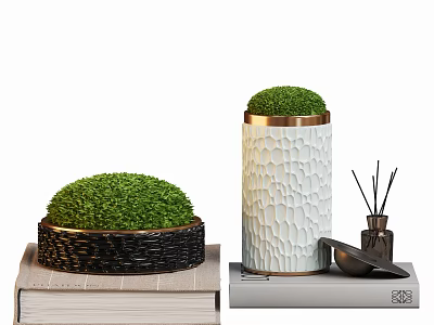 Moss Bonsai Plants In Black Woven And White Textured Pots On Books With Aromatherapy Sticks 3d model
