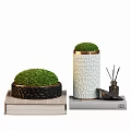 Moss Bonsai Plants In Black Woven And White Textured Pots On Books With Aromatherapy Sticks