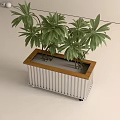 Indoor Green Plant In Decorative Planter With Wooden Border And White Stripes