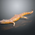 Detailed Lifelike Brown Crocodile Model on Black Background with Reflection