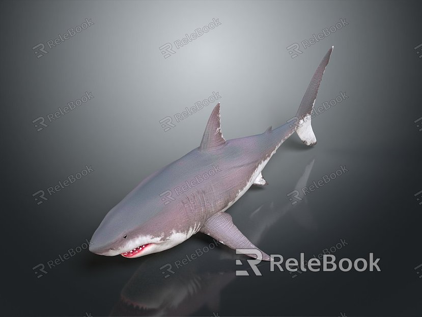 shark great white shark whale shark hammerhead shark tiger head shark man-eating shark blue shark coral red coral white coral model