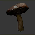 Fresh Brown Wild Mushroom With Textured Cap And Firm Stem For Cooking