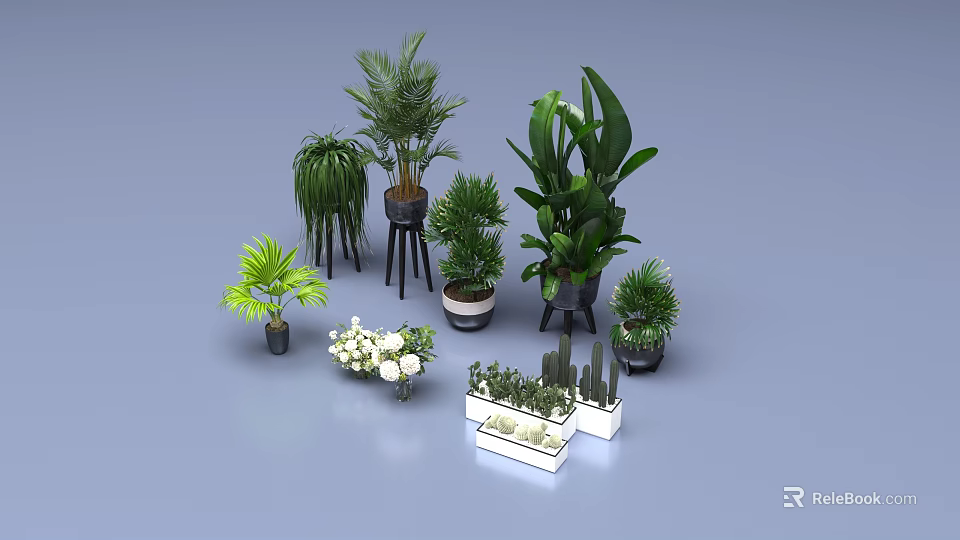 Indoor Potted Plants Large Green Plants Small Succulents White Flowers And Different Pots With Stands 3d model 