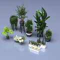 Indoor Potted Plants Large Green Plants Small Succulents White Flowers And Different Pots With Stands