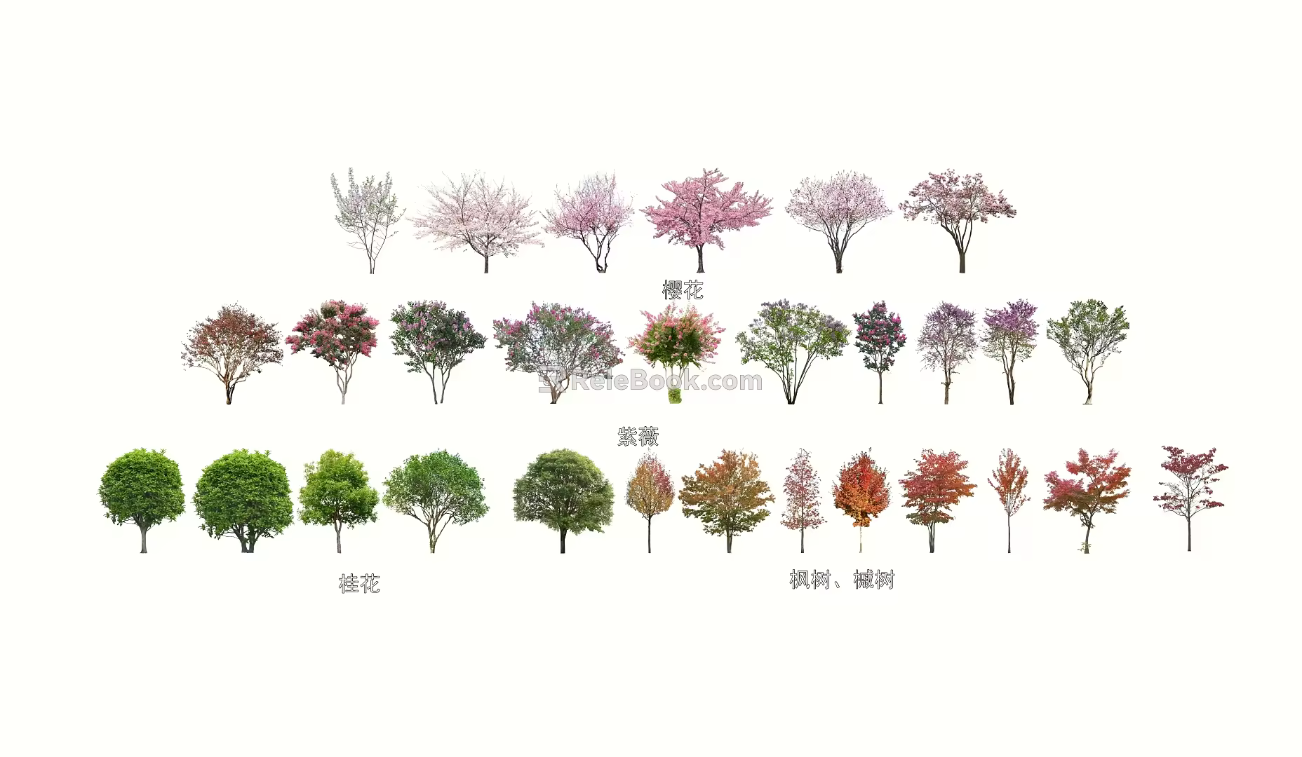 Commonly used small trees flowering trees osmanthus crape myrtle maple cherry blossom 3d model