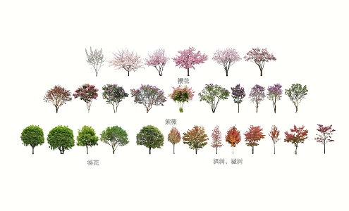 Commonly used small trees flowering trees osmanthus crape myrtle maple cherry blossom 3d model