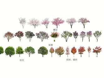 Commonly used small trees flowering trees osmanthus crape myrtle maple cherry blossom 3d model