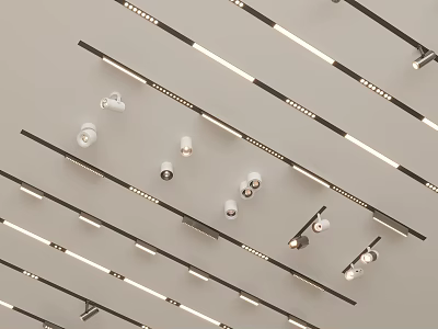 Modern Track Mounted Downlights and Spotlights with Sleek Design for Ceiling Lighting 3d model