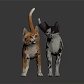 Two Cats Orange White and Black White Standing Together On Gray Background With Reflective Surface