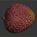 Fresh Red Lychee Fruit With Rough Texture On Dark Reflective Surface 3d model
