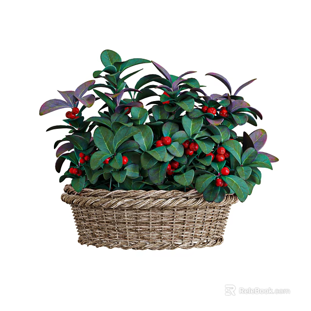 Decorative Woven Basket With Green Purple Leaves And Red Berries 3d model 