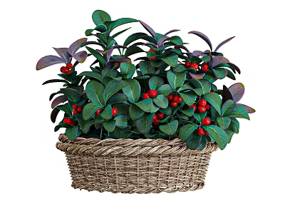 Decorative Woven Basket With Green Purple Leaves And Red Berries 3d model