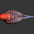 Red And Blue Parrot With Striped Feathers On Dark Background With Reflection