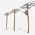 Wooden Utility Poles With Power Lines Street Light And Electrical Box Setup