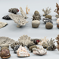 Modern Coral 3d model