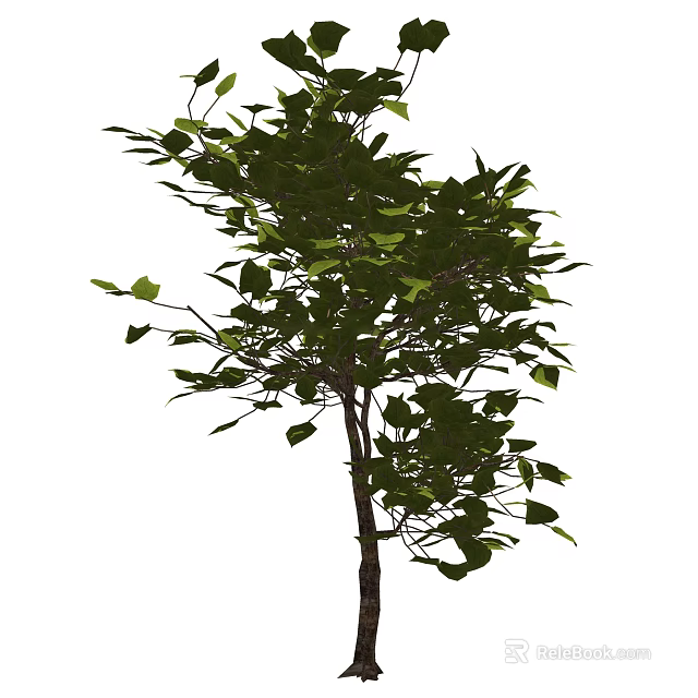 Arbor Featuring Lush Green Foliage And Strong Trunk In Natural Scene 3d model 