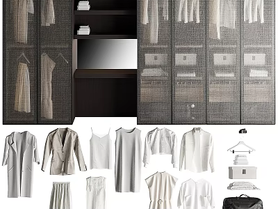 Modern Wardrobe Interior With Mesh Doors Mirror Shelves And Hanging Clothes Storage 3d model