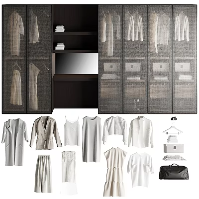 Modern Wardrobe Interior With Mesh Doors Mirror Shelves And Hanging Clothes Storage 3d model