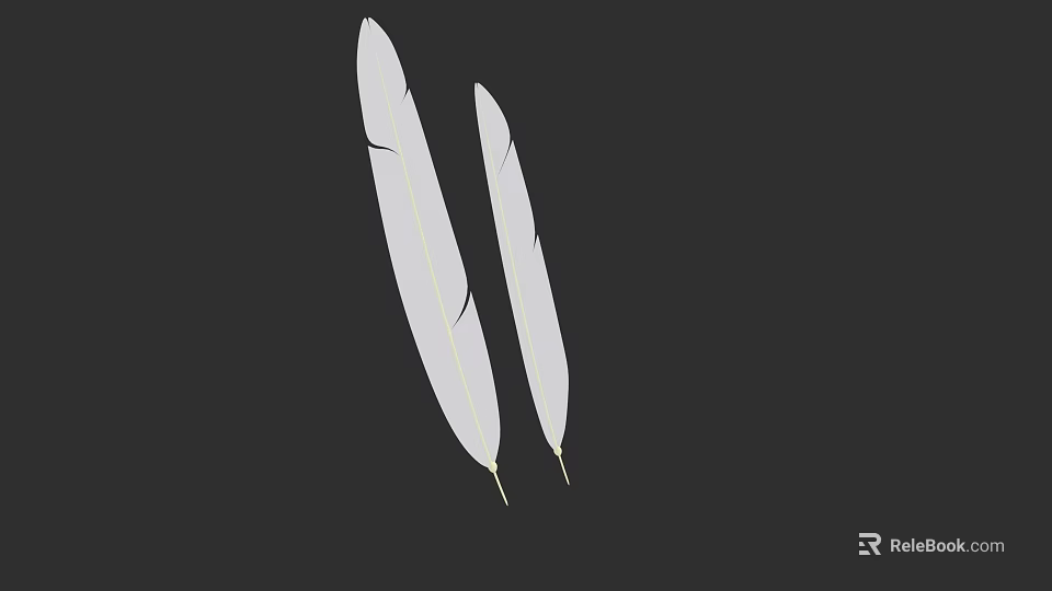 Flying Animals Two White Feathers Detailed Natural Soft Texture Against Black Background 3d model