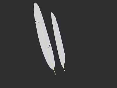 Flying Animals Two White Feathers Detailed Natural Soft Texture Against Black Background 3d model